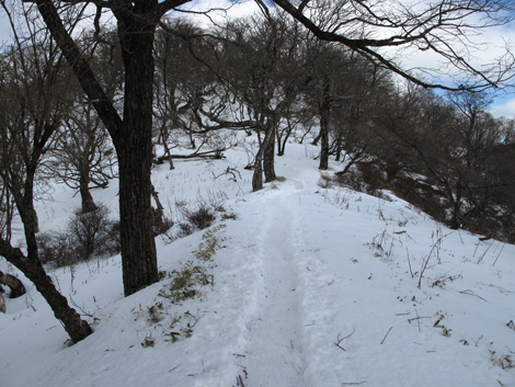 20170118hike (235)